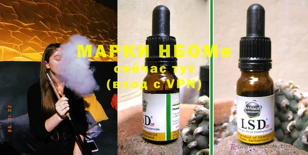 шишки Белокуриха
