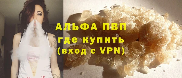 шишки Белокуриха